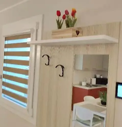 Tulipano * San Valentino (Friuli Venezia Giulia)